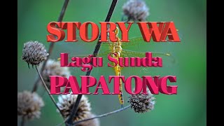 Story WA || Lagu Sunda - Papatong