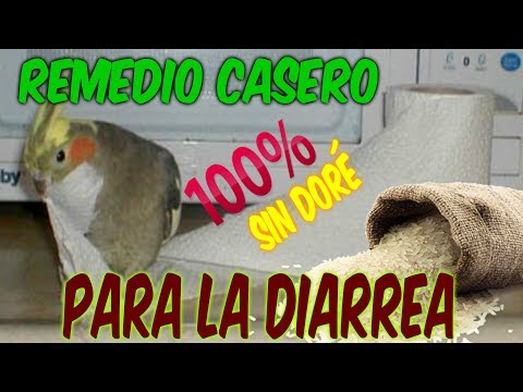 REMEDIO CASERO PARA CURAR DIARREA SIN DORÉ