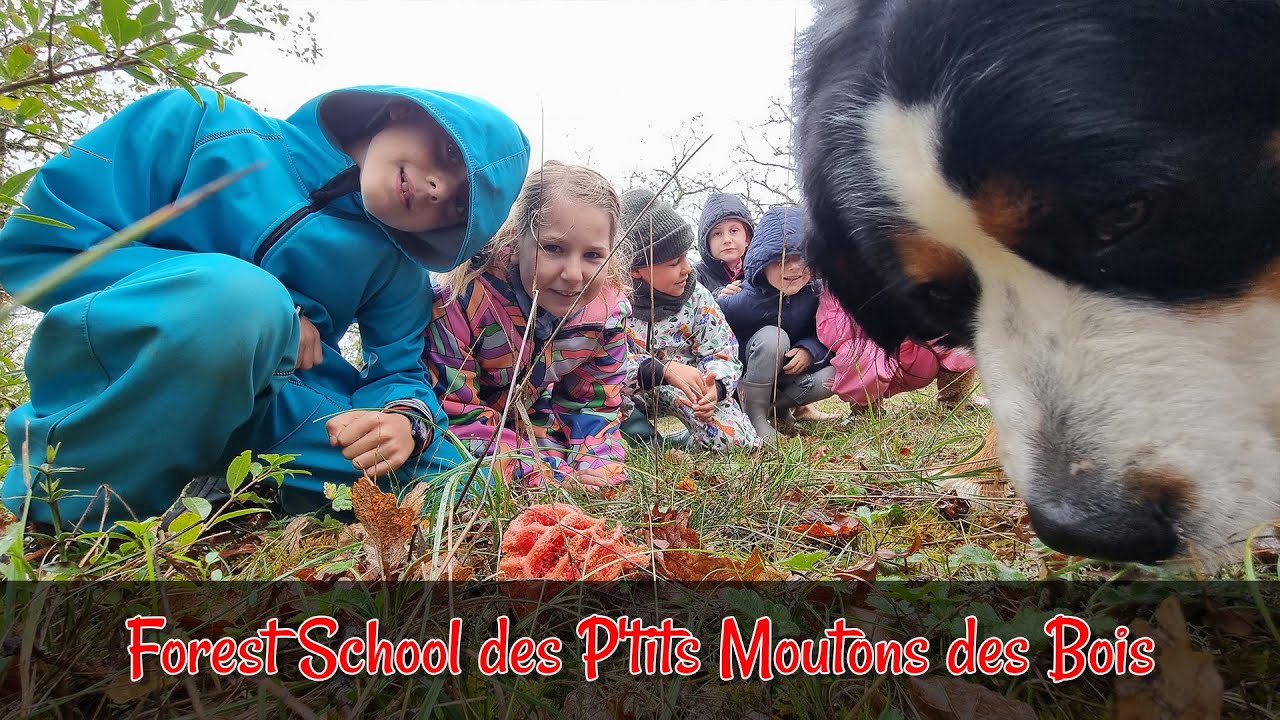 Forest School des P'tits Moutons des Bois - LMQDN