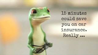 GEICO Car Insurance