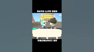 미첼 동숲 미첼 동숲