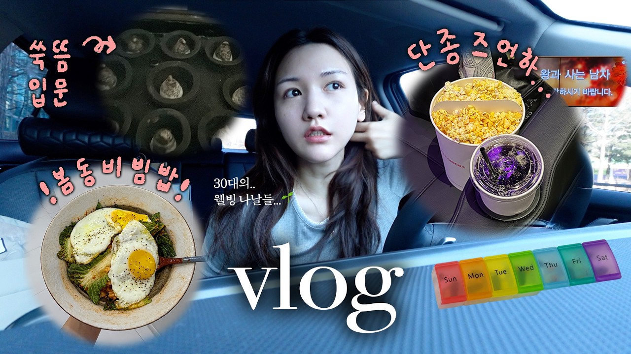 웰빙이란 걸 아시나요....? ➰ 일주일 vlog 모음 ➰ | 쑥뜸추천,봄동비빔밥,왕사남에 빠졌습니다...,가구일러페어,산부인과 결과