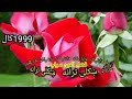سراجی ښکلی ترانه 