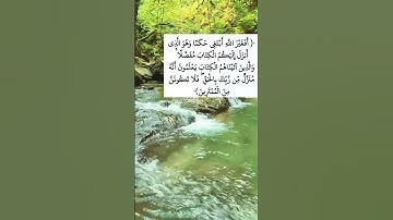 سورة الأنعام - الآية 114#الله #allah #ayat #aya #qran #alquran #القرآن #بدر_المشاري #قرآن #آية