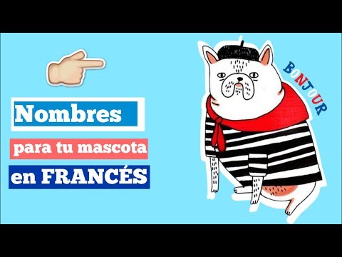 Video: 2 Nombres De Perros Que Conmocionaron Al Alcalde Francés Hasta La Médula