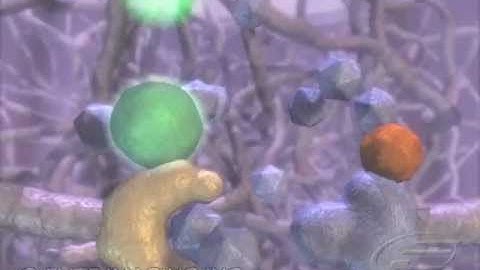 Chemical Sensing - Medical & Scientific Video Production