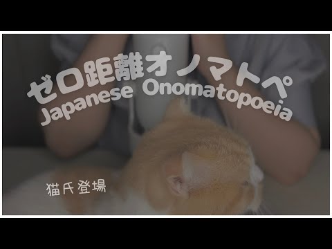 ASMR | ゼロ距離オノマトペ🍠マイクに口くっつけて囁くよ🍇猫もいるよ🐱【Japanese Onomatopoeia / mouth sounds / Blue yeti】