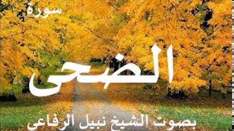 سورة الضحى بصوت الشيخ / نبيل الرفاعي 93