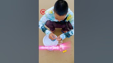 Câu được cá đục khủng ???| ytbe#caucabien86#longvlog86