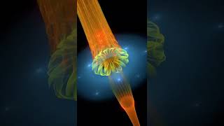 Fractal Vortex | Celestial Spinscape