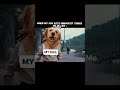 😄#funny #shorts #youtubeshorts #cutedog #dog #memes #viral