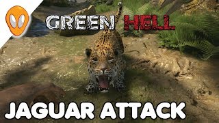 Jaguar Attack | Green Hell Ep 3