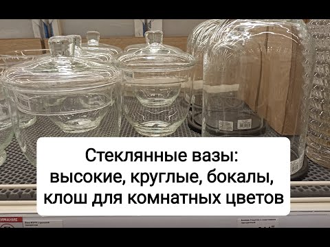 Стеклянные вазы: высокие, круглые, клош для комнатных цветов