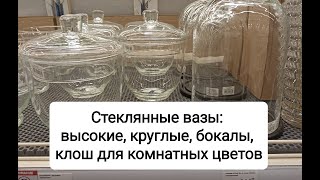 Стеклянные вазы: высокие, круглые, клош для комнатных цветов