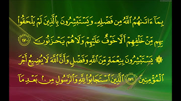 سورة آل عمران (الآية 164 ~ الآية 175) - ياسر بن راشد الدوسري