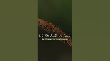 قران كريم ❤️ #اكسبلور #المصحف #لايك #الرحمن #قرآن #الامارات #تيك_توك