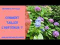 Comment tailler l'hortensia - Monjardindansleslandes