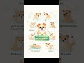 ¿Sabías que tu perro no puede hablar con palabras? #perritos