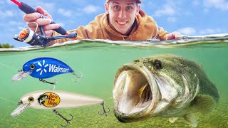 Famous $100 Walmart vs Bass Pro Shops Fishing Challenge! Wealth