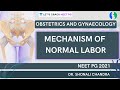 Mechanism of Normal Labor | NEET PG 2021 | Dr. Shonali Chandra