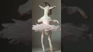 Toon Town Adventures Cartoon