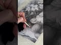 Monkey, Apples and Lilies Timelapse Graphite Drawing