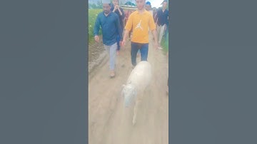 Android Download 👉: https://st.simpledesign.ltd/fqy2M3iOS Download 👉: https://apps.apple.com/app/