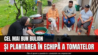 Cel mai bun bulion și plantarea în echipă a tomatelor / România Văzută Din Tractor