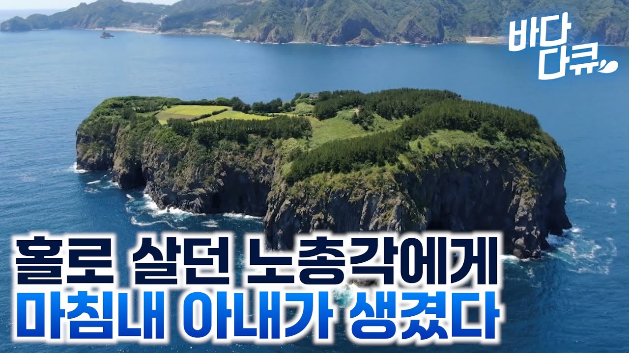 노총각 혼자 살던 섬이 지상낙원 신혼집이 되었다 / 독도보다 큰 섬에 집 한채 짓고 사는 삶 / #바다다큐