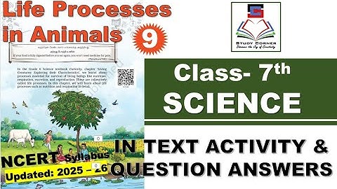 Class 7 Science Chapter 9 Life Processes in Animals Text Question Answer Updated 2025 26 PM Shri KV