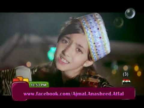 الشمس سجى حماد أحمد الكردي كراميش 2012