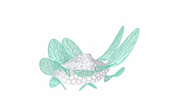 MARC6102 A2 Hybrid Prototypes