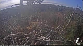 J E20210428 081640BlueTitVisits 090212BlueTitVisits