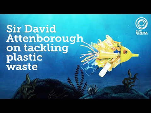 Solving Plastic Pollution