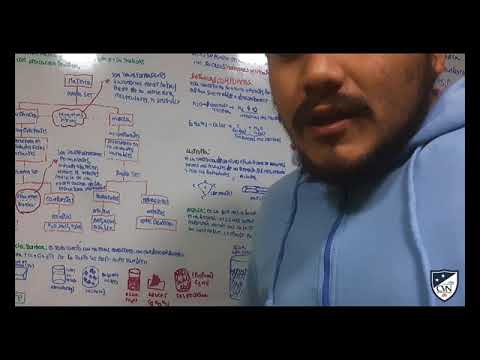 CURSO DE CTA (CLASE 13)