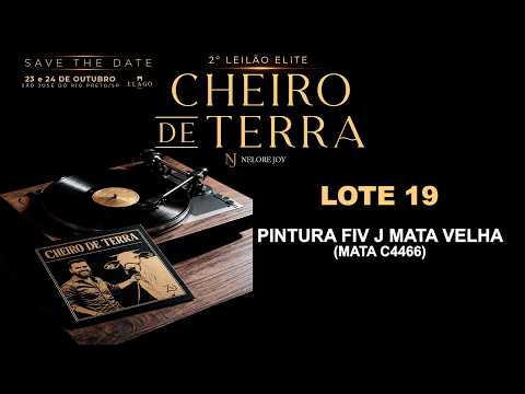 LOTE 19   MATA C4466