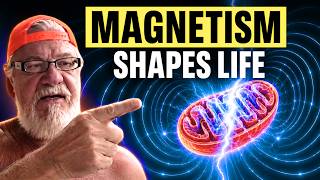 Dr. Jack Kruse Explains How Life Organizes Around Magnetism, Quantum Physics & Ancient Civilizations