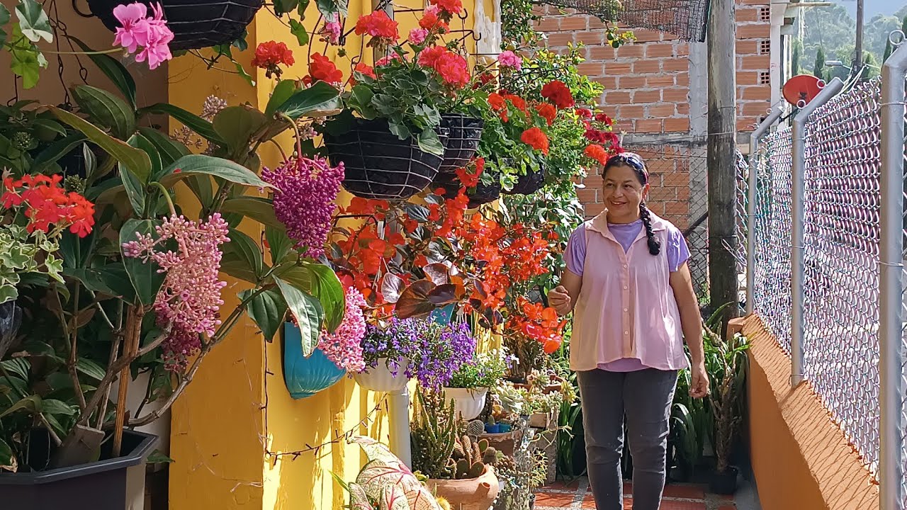 Consejos para cultivar Geranios y Novios 🍂🌺🥰