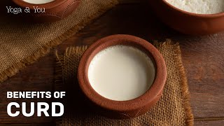 Health Benefits of Curd | Curd for Gut Health | Gut Healing Superfood | @VentunoYoga