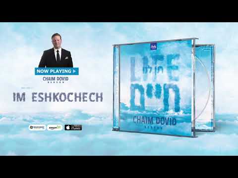 Sruly Meyer Presents: Chaim Dovid Berson - Ten Lanu Chaim - Debut Album