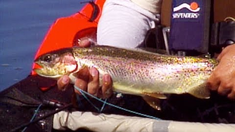 Incredible Trout Fishing in the Eastern Sierras: Part 3