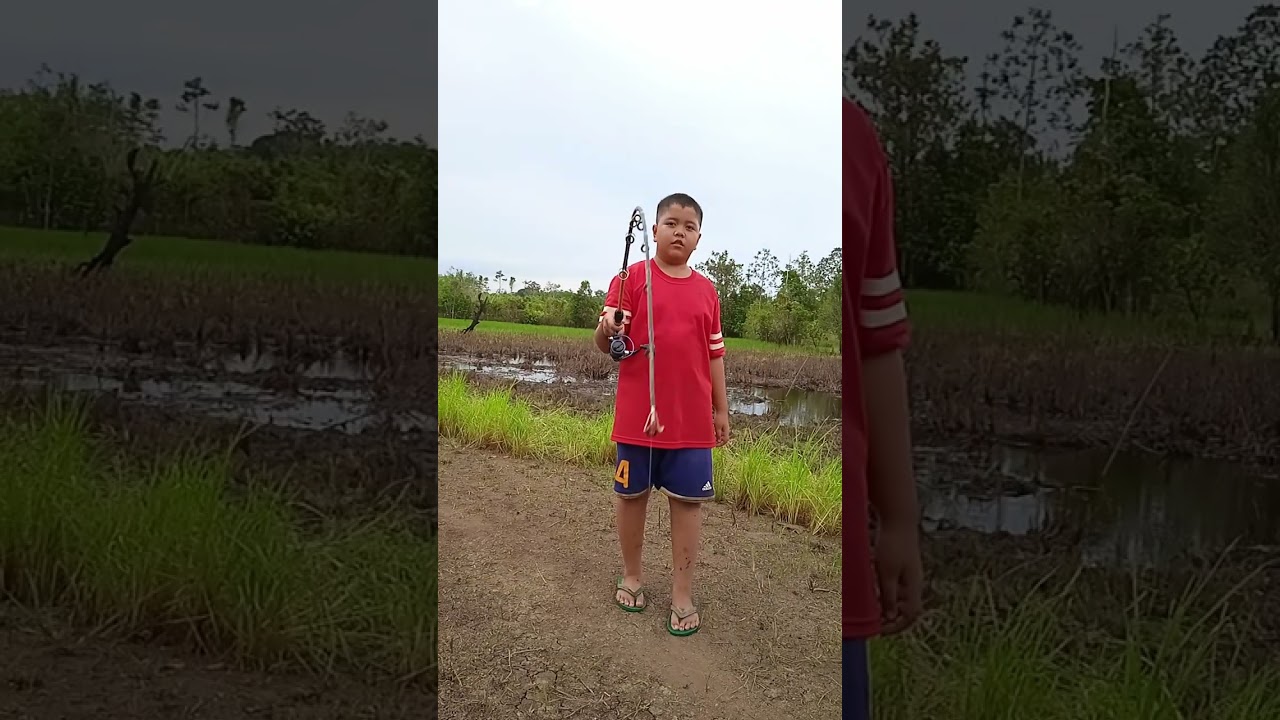 fishing camp harvesting snakehead fish 