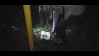 Abyzou Película Completa Hd