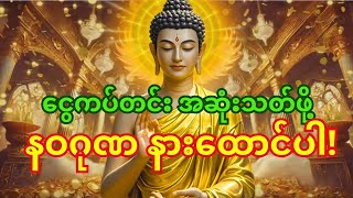 🙏 နံနက်တိုင်း နဝဂုဏ နားထောင်သူတွေမှာ ငွေကပ်တင်း အဆုံးသတ်တယ်လို့ ပြောနေကြပြီ။ #ငွေဝင်တဲ့ဂါထာ