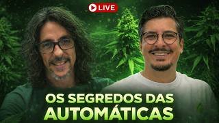 Is Growing Autoflowering Plants Worth It? (with Ben Grower)