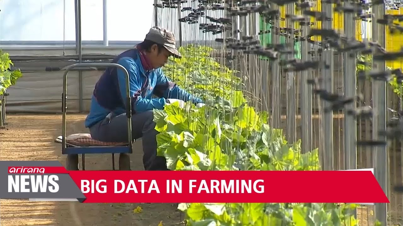 Big data brings efficiency to Korean agricultural industry
