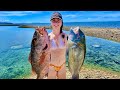 Tropical island spearfishing catch and cook