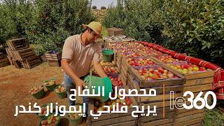 موسم واعد للتفاح بإيموزار كندر.. وفرة في المحصول ومردودية قياسية للأشجار