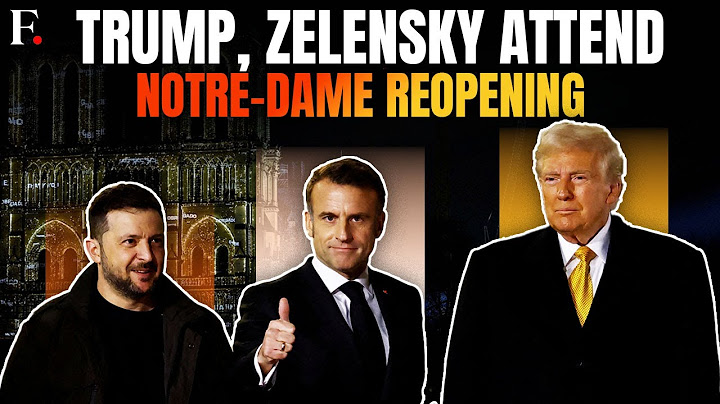 Notre-Dame Reopening: Trump Says Zelensky Ready For A Ceasefire Deal After Meeting in Paris