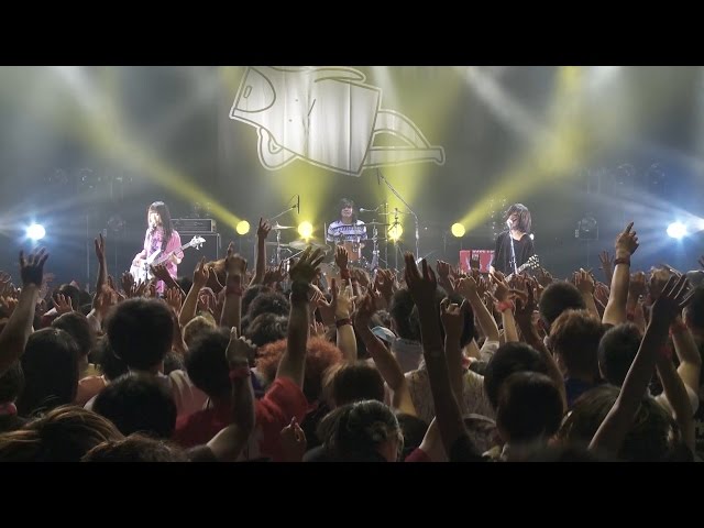 初回盤DVD】ヤバイTシャツ屋さん「We love Tank-top」【teaser映像